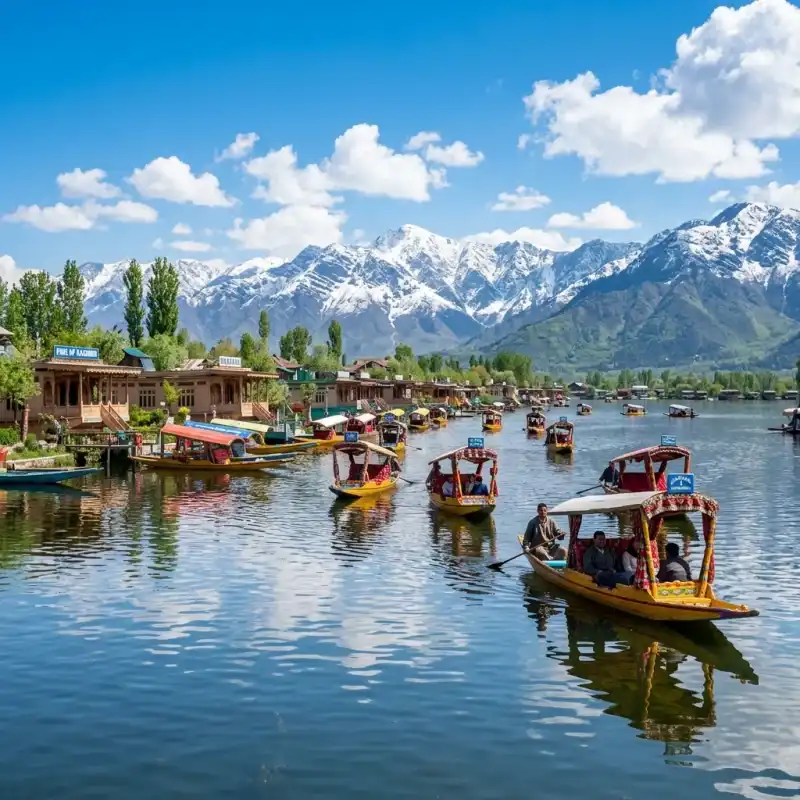 Dal Lake Shikara Kashmir